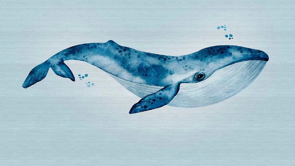 Ֆոտոպաստառ 38300-1 6A THE WALL