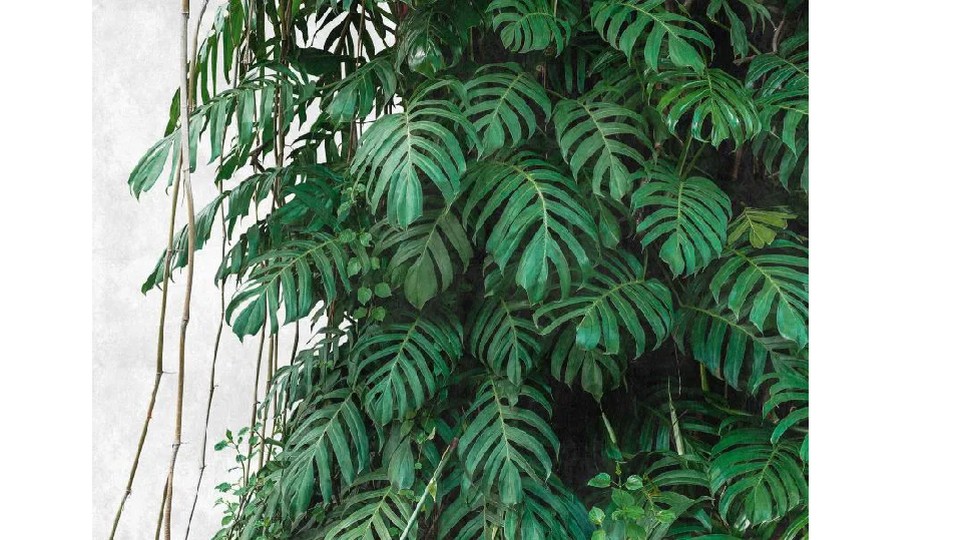 Ֆոտոպաստառ 38241-1 15A THE WALL