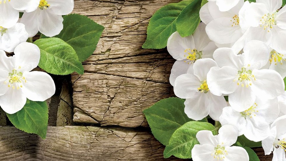  Ֆոտոպաստառ 2002P4   