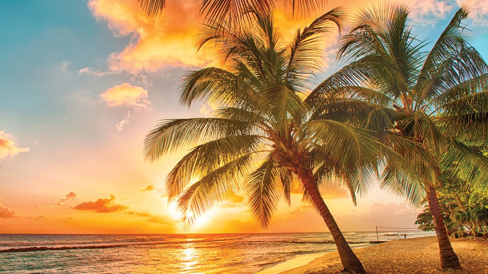  Ֆոտոպաստառ 3393P4   