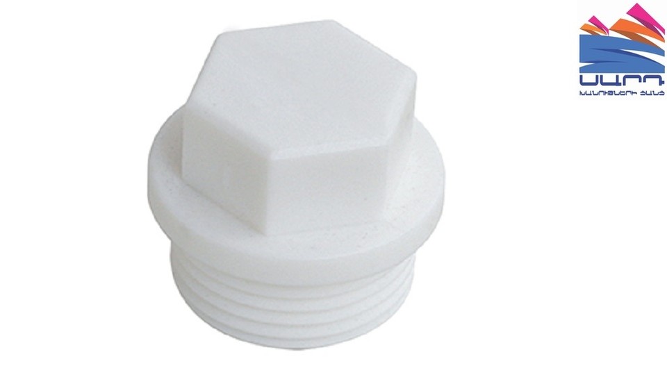 Plug with thread 20X1/2