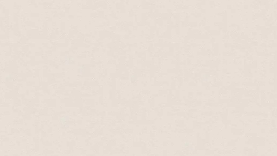 Պաստառ  78651-6 20A Elite of shades