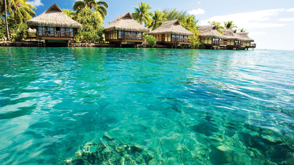  Ֆոտոպաստառ 224P4   