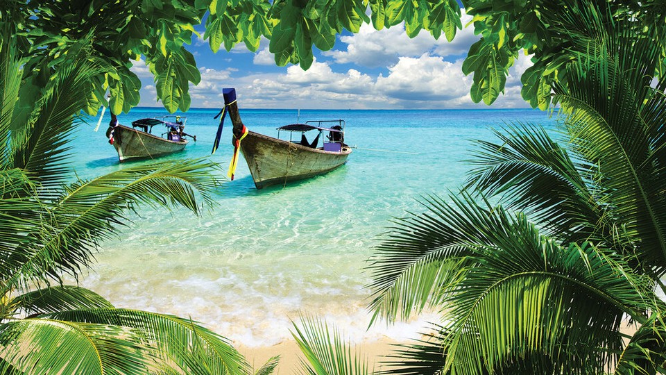  Ֆոտոպաստառ 225P4   