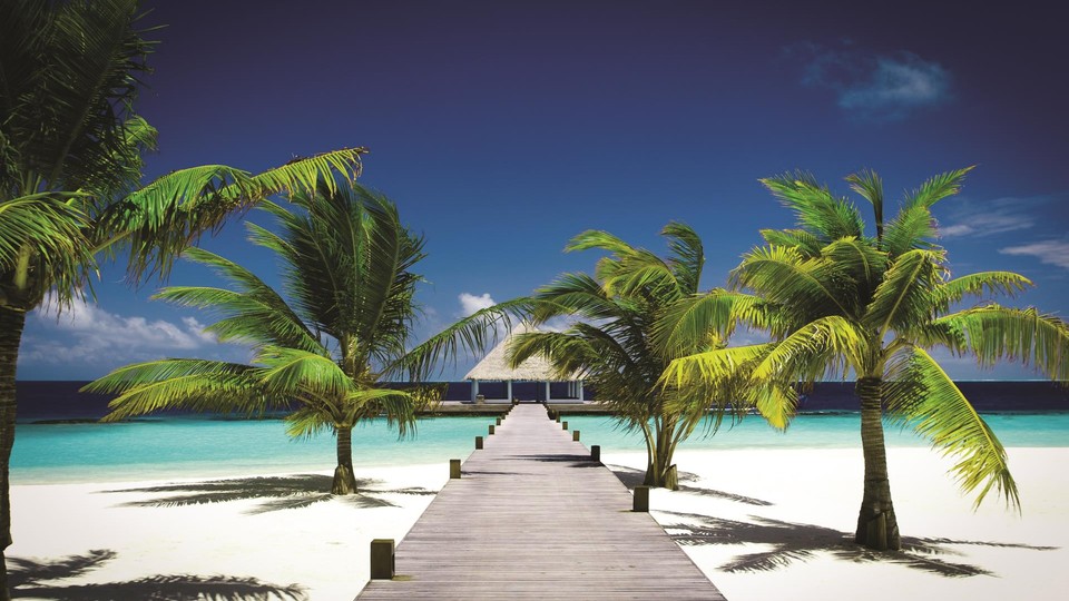  Ֆոտոպաստառ 891P8   