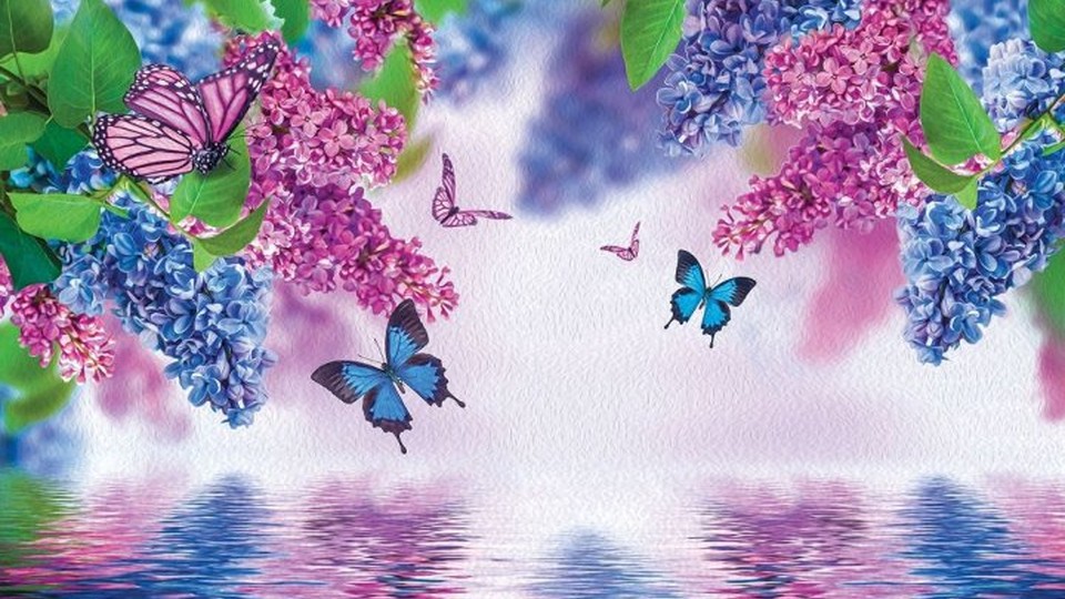  Ֆոտոպաստառ 1532P8   