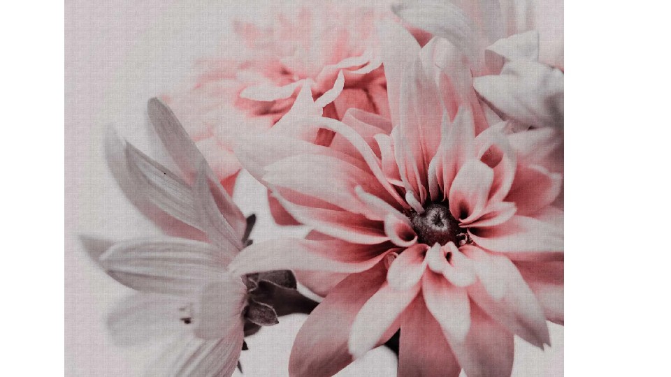 Фотообои 38270-1 6A THE WALL