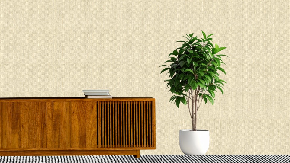 Պաստառ ED1904-3(1,06м/10.05м)Bellissimo Milano-2