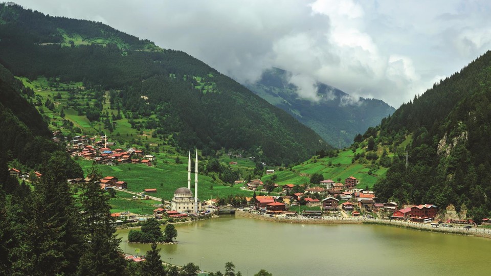  Photo wallpaper 1054 P4   