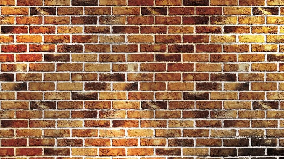  Photo wallpaper 1534P8   