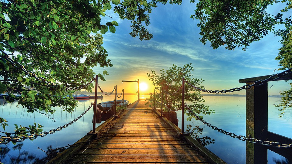  Фотообои 2223P8 