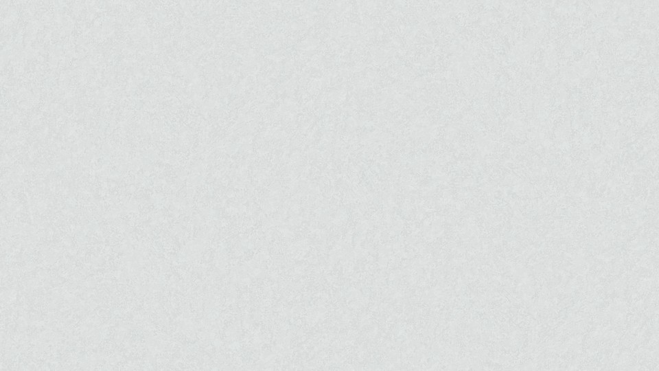   Wallpaper 520116 1G Willow