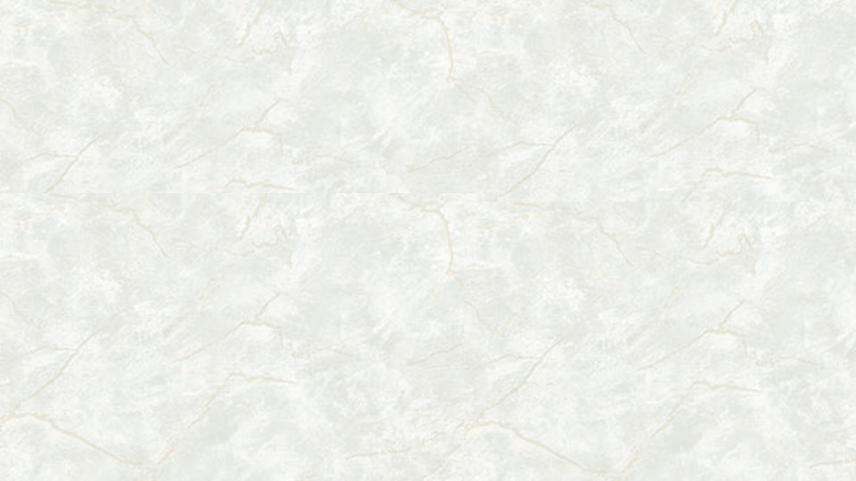 Պաստառ DTT202548W(1,06м/10.05м)Bellissimo Milano-2