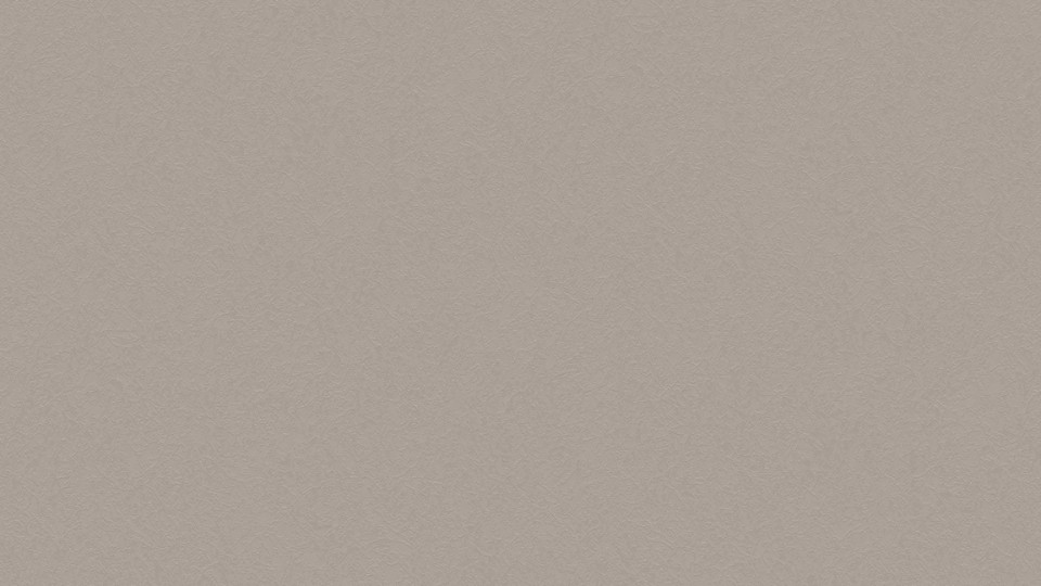 Wallpaper 251522 1G  (10,05m/106sm)Vila