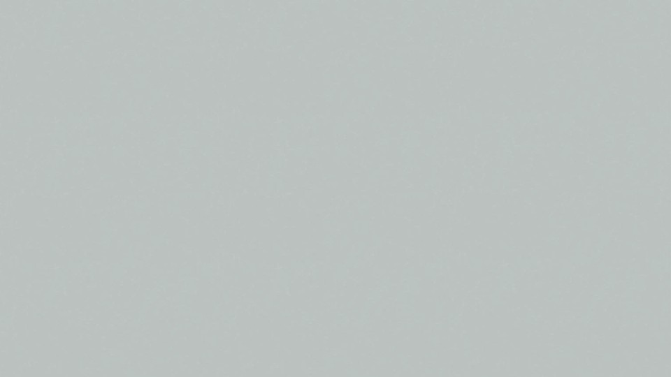 Պաստառ 78651-8 5A(10,05м/106см)Elite of shades