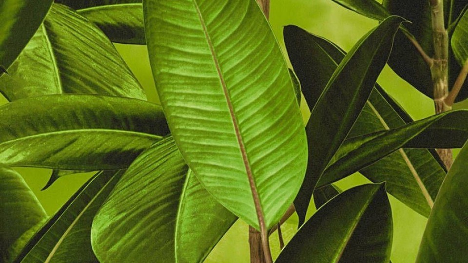 Wallpaper 36201-1 10A Bude 2.0