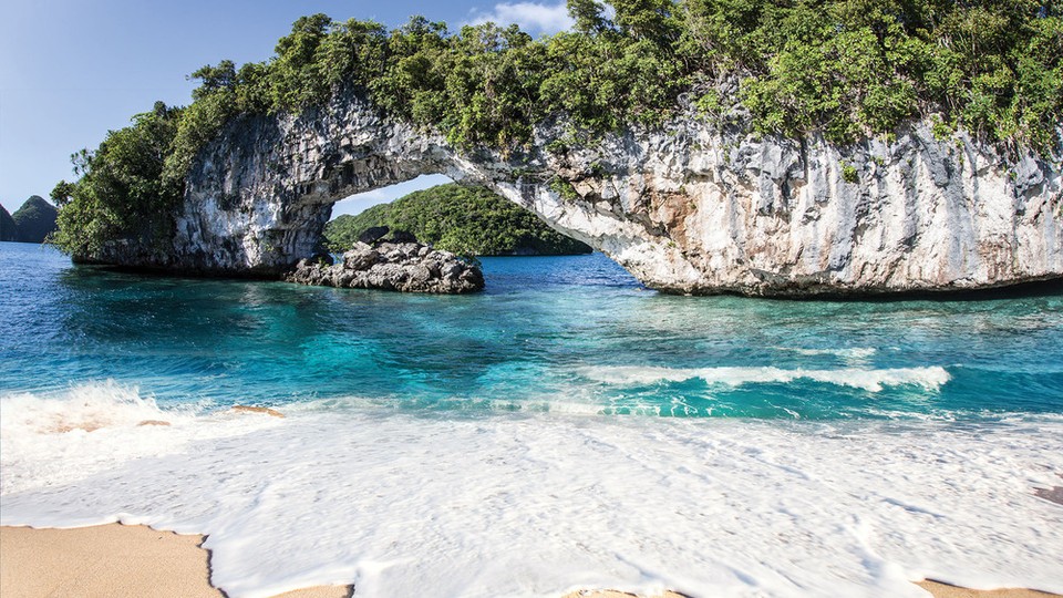  Фотообои 11236P4 