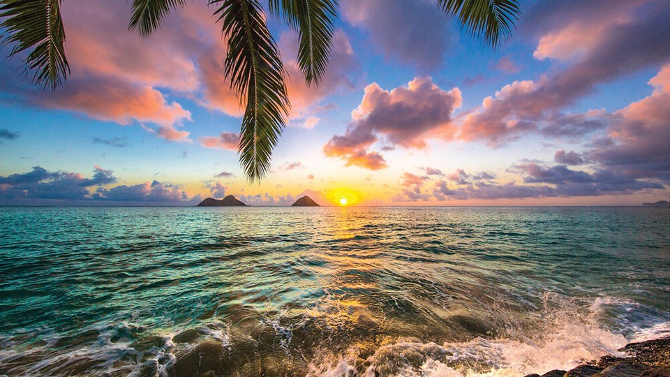  Ֆոտոպաստառ 11748P8   