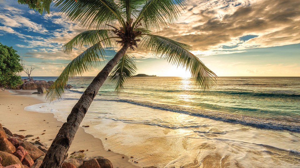  Ֆոտոպաստառ 11732P4   