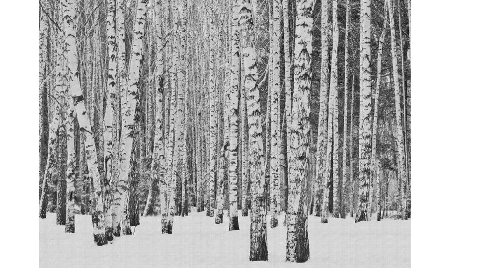 ֆոտապաստառ 38259-1 5A THE WALL