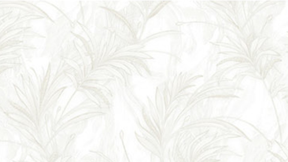 Պաստառ HC7402(1,06м/10.05м)Bellissimo Milano-2