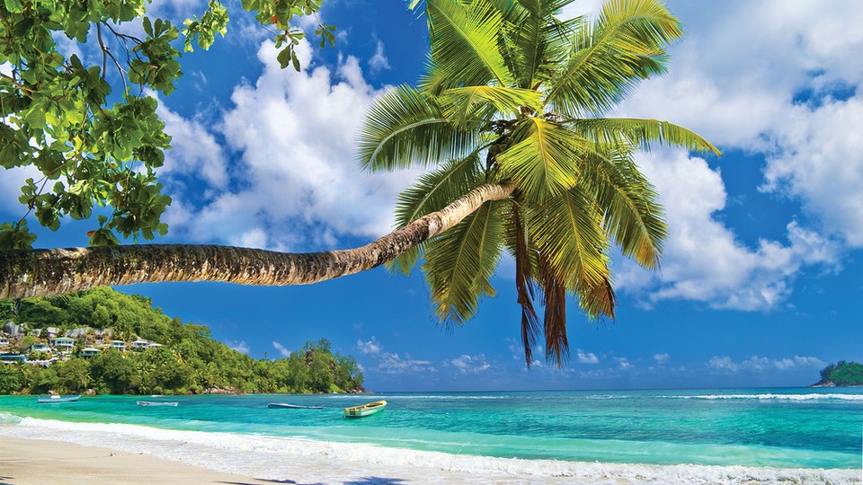  Ֆոտոպաստառ 10332P4   