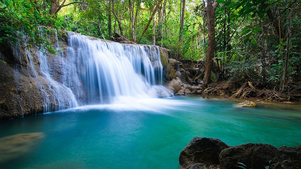  Фотообои 11893P4 