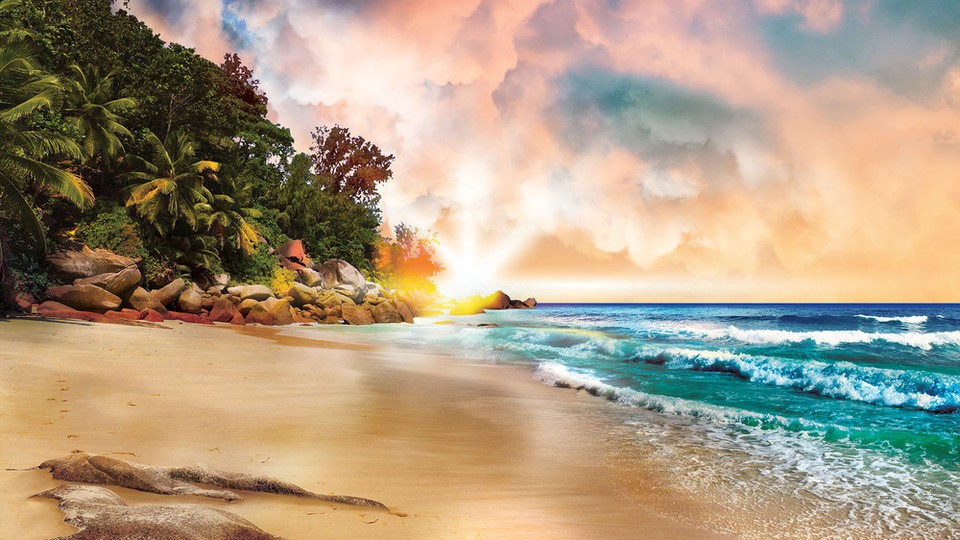  Photo wallpaper 10897P8   