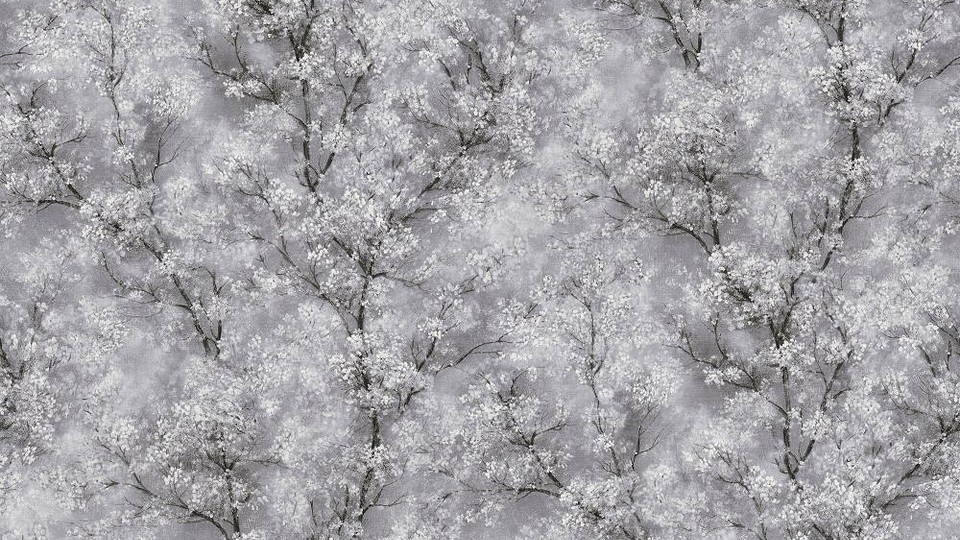 Wallpaper 37542-1 12A NW Sakura