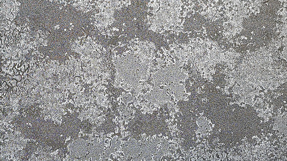 Обои AK2108 E2116  Crystal Ice