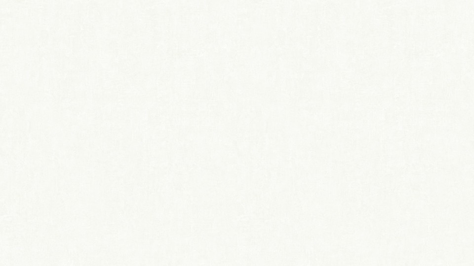 Wallpaper 452516 2A  Bloom