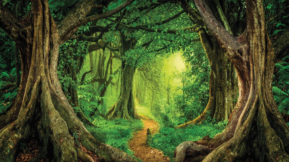  Ֆոտոպաստառ 13852P4   