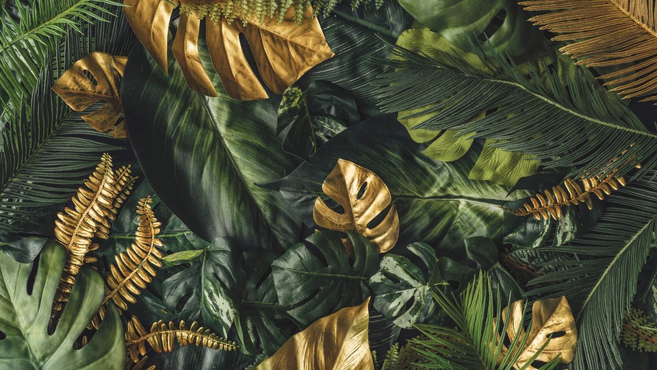  Ֆոտոպաստառ 13803P4   