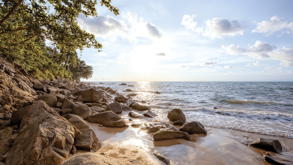  Ֆոտոպաստառ 13306P4   