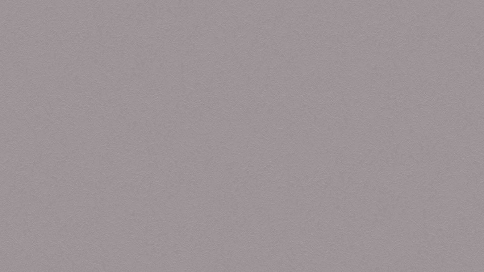 Walpaper 251508 4G  (10,05m/106sm)Vila