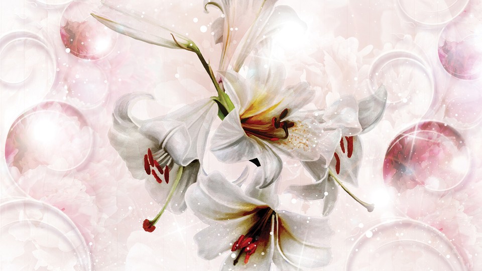  Photo wallpaper 3534P4   