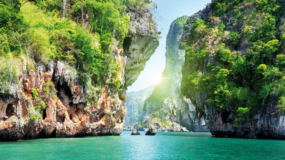  Photo wallpaper 137P8   