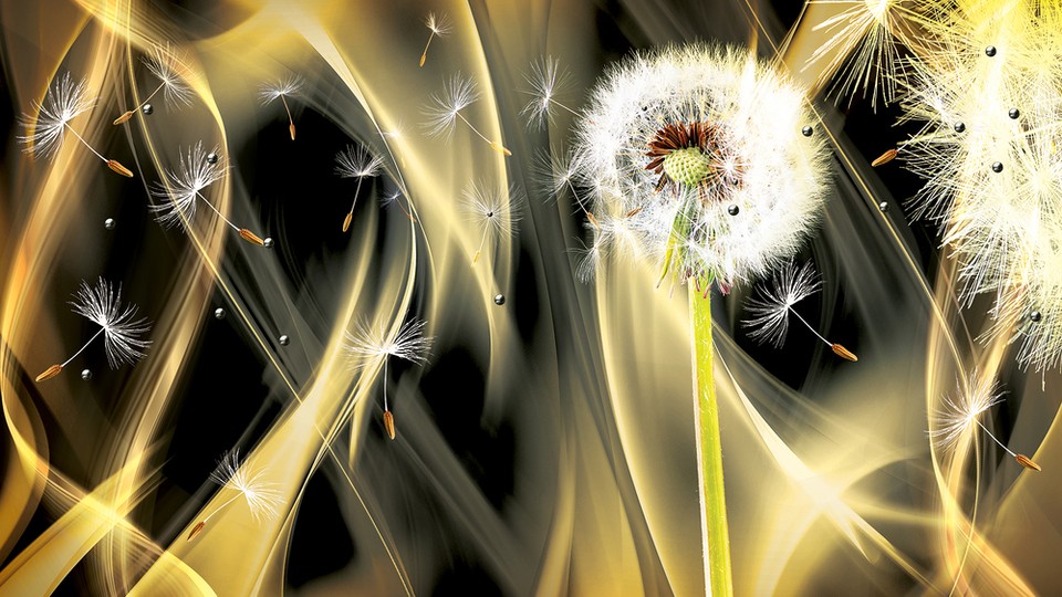  Ֆոտոպաստառ 2601P4   